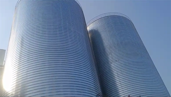 多文镇2座混凝土高架卷板仓